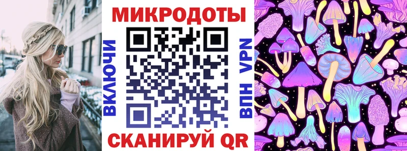 mega как зайти  Пугачёв  Псилоцибиновые грибы мицелий 